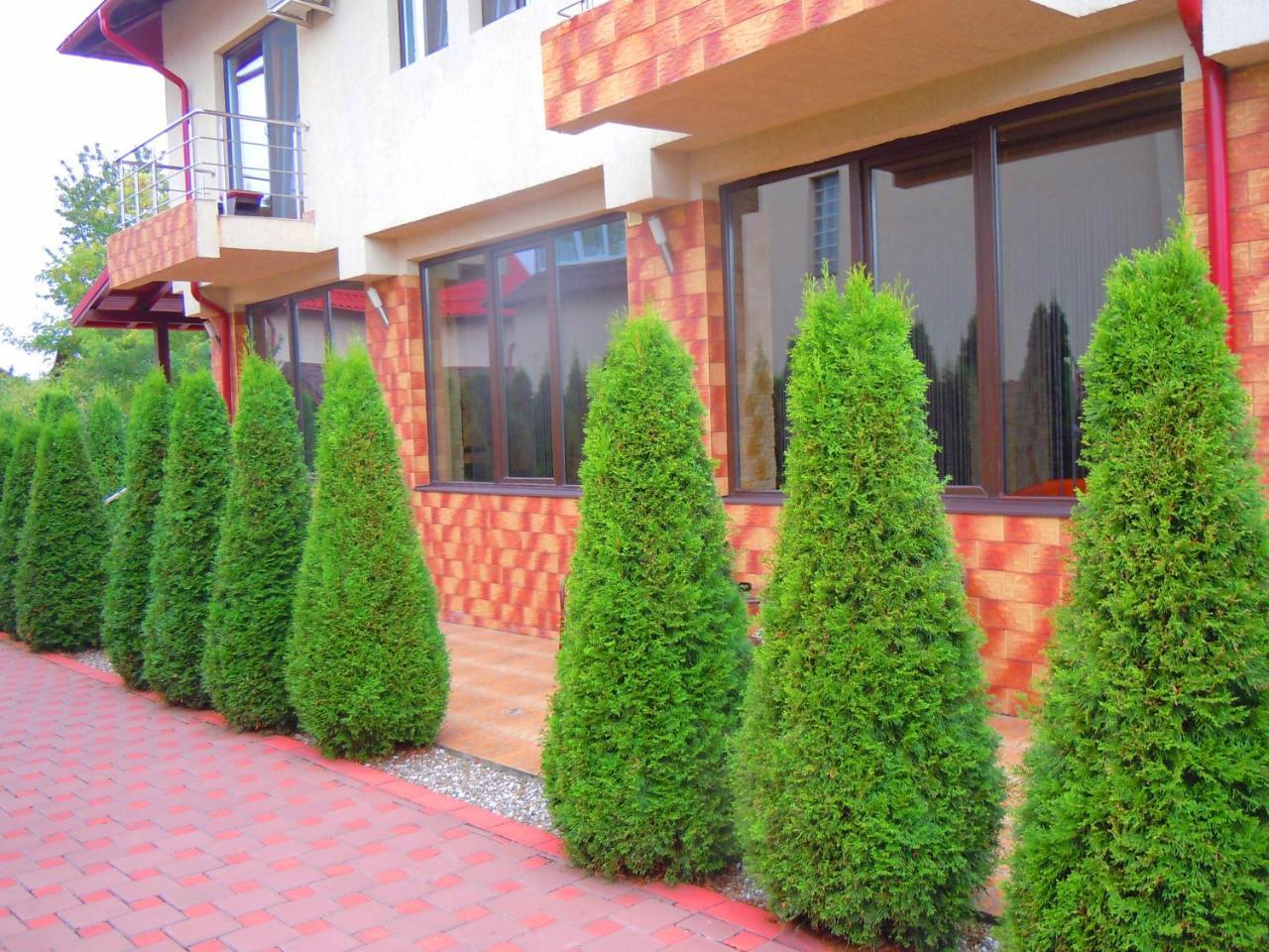 Pensiunea Marina Câmpina Exterior foto